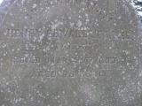 image of grave number 171351